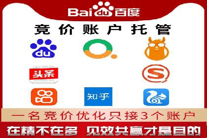 揭秘SEM搜索引擎优化成功案例，助您优化策略